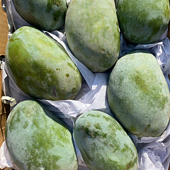 Манго из Египта весовой ~ 300 гр.